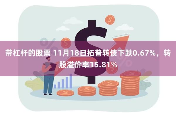 带杠杆的股票 11月18日拓普转债下跌0.67%，转股溢价率15.81%