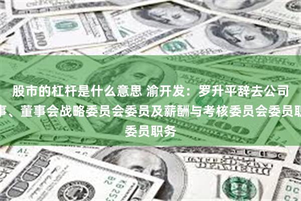 股市的杠杆是什么意思 渝开发：罗升平辞去公司董事、董事会战略委员会委员及薪酬与考核委员会委员职务