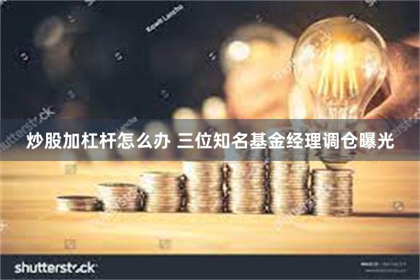炒股加杠杆怎么办 三位知名基金经理调仓曝光
