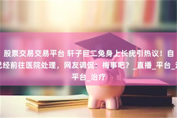 股票交易交易平台 轩子巨二兔身上长疣引热议！自称已经前往医院处理，网友调侃：梅事吧？_直播_平台_治疗