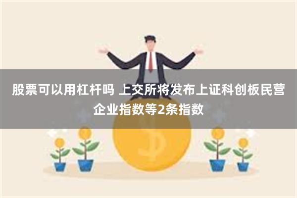 股票可以用杠杆吗 上交所将发布上证科创板民营企业指数等2条指数