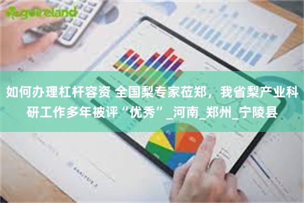 如何办理杠杆容资 全国梨专家莅郑，我省梨产业科研工作多年被评“优秀”_河南_郑州_宁陵县