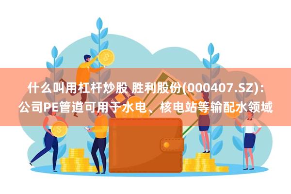 什么叫用杠杆炒股 胜利股份(000407.SZ)：公司PE管道可用于水电、核电站等输配水领域