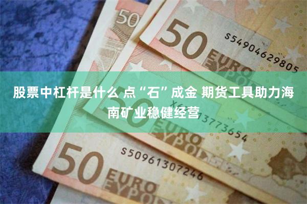 股票中杠杆是什么 点“石”成金 期货工具助力海南矿业稳健经营