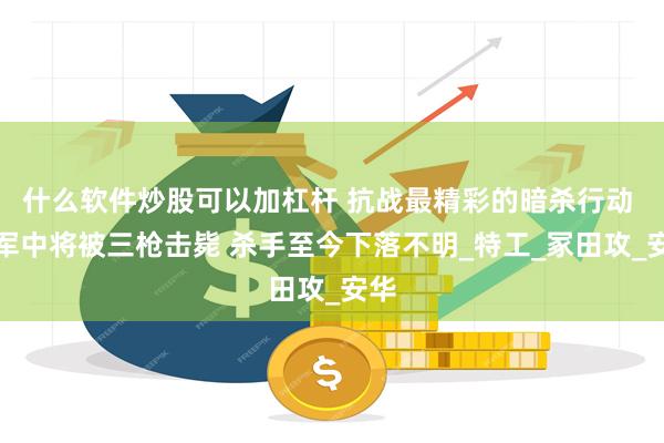 什么软件炒股可以加杠杆 抗战最精彩的暗杀行动 日军中将被三枪击毙 杀手至今下落不明_特工_冢田攻_安华